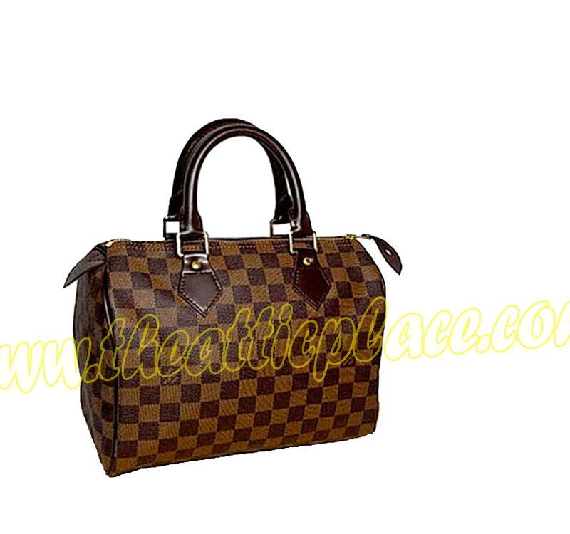 Louis Vuitton N41365 Damier Ebene Canvas Speedy 25 (DU1130) Tote Bag-0
