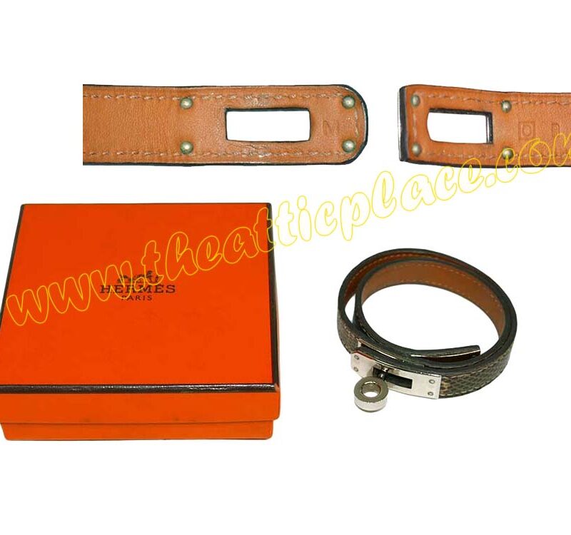 Hermes Ombre Lizard Kelly Double Tour Palladium Hardware O Stamp M Size Unisex -0