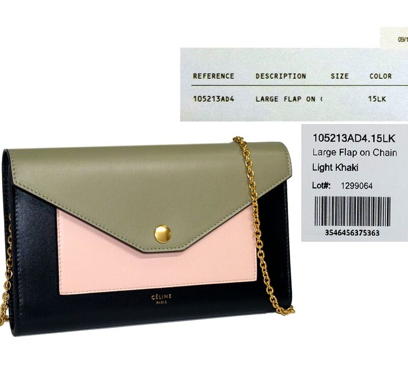 Celine Pocket Trifolded Multifunction Wallet on Chain in Multicolour Nude, Mineral , Light Khaki-0