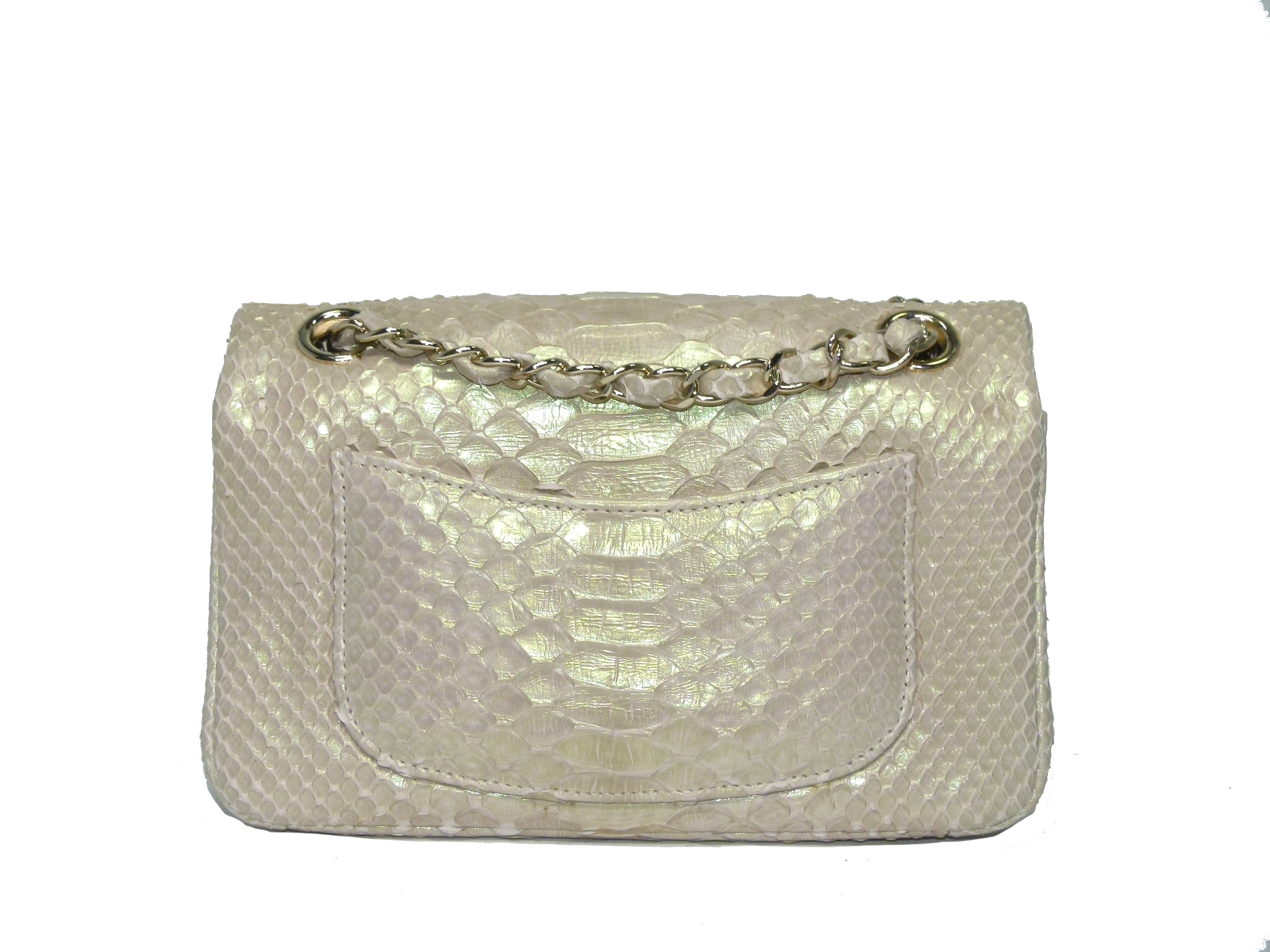 Chanel 16416632 Iridescent Python Leather Gold-Tone Metal Mini Flap Bag -34071