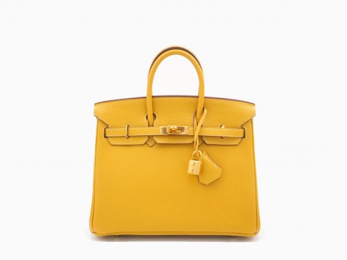 Hermes Birkin 25 Curry Togo Leather L Stamp Gold Hardware